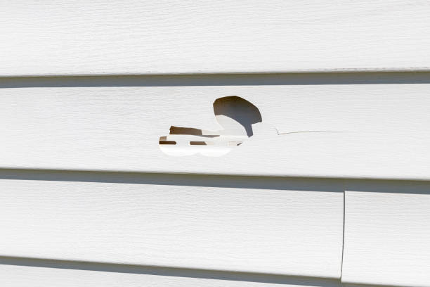 How To Choose The Right Materials for Your Siding Installation in 'Clearwater, MN